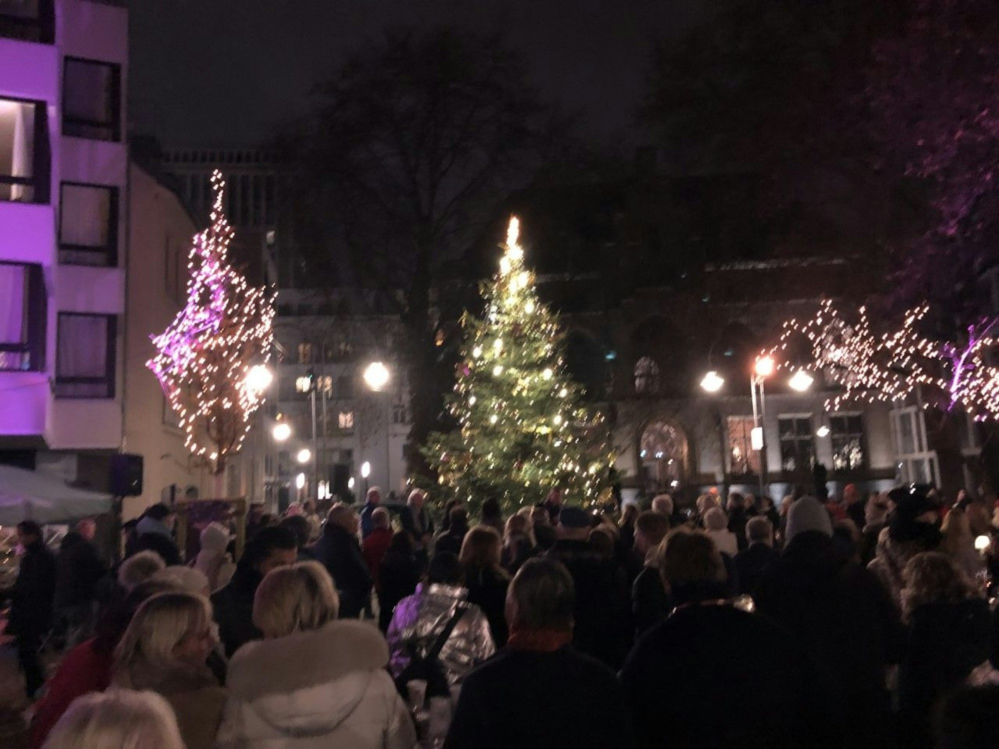 Einweihung des Rekordbaums in Str. Gereon