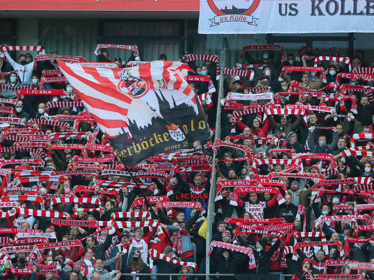 Fans des 1. FC Köln jubeln und halten ihre Schals in die Luft