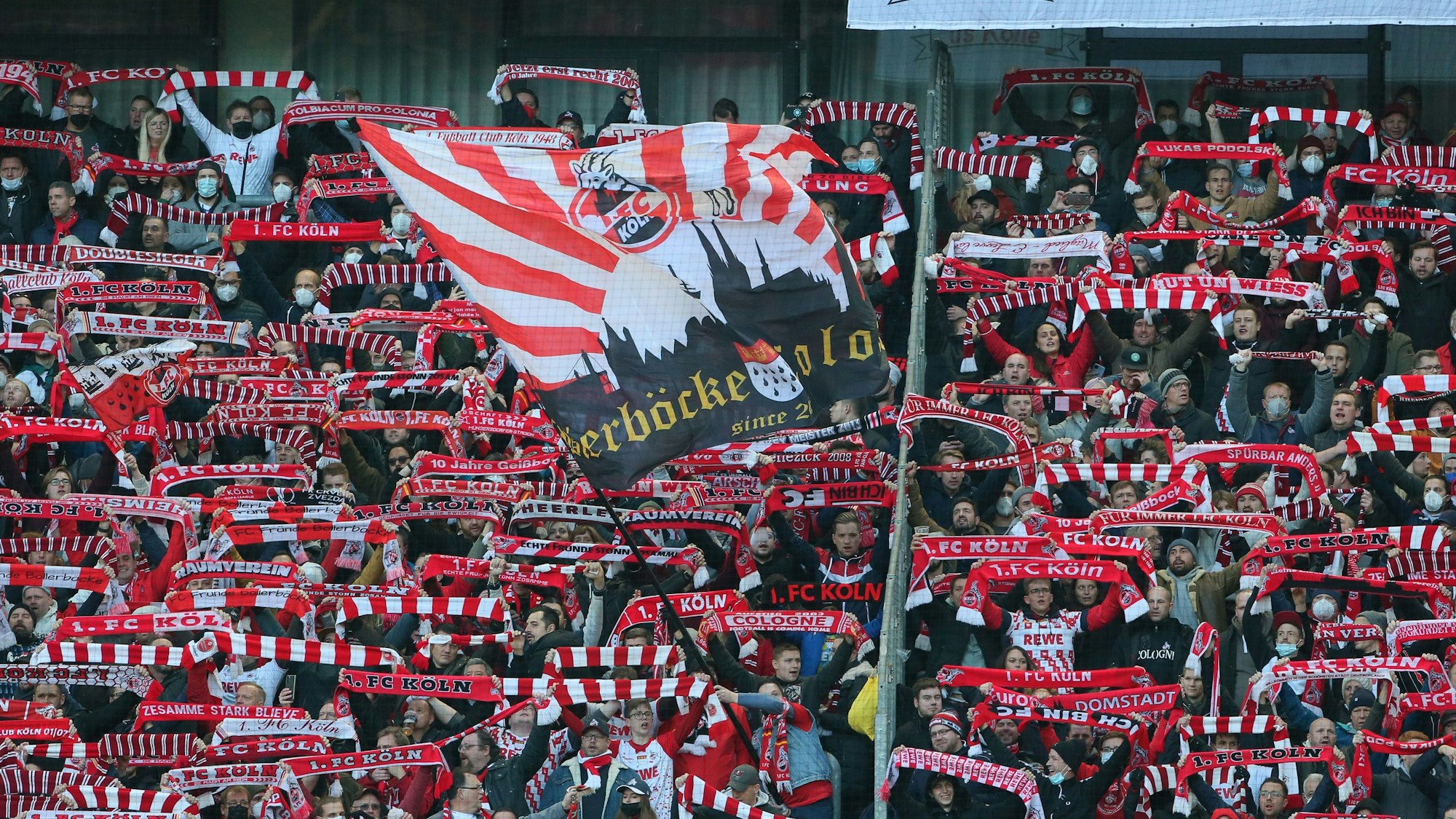 Fans des 1. FC Köln jubeln und halten ihre Schals in die Luft