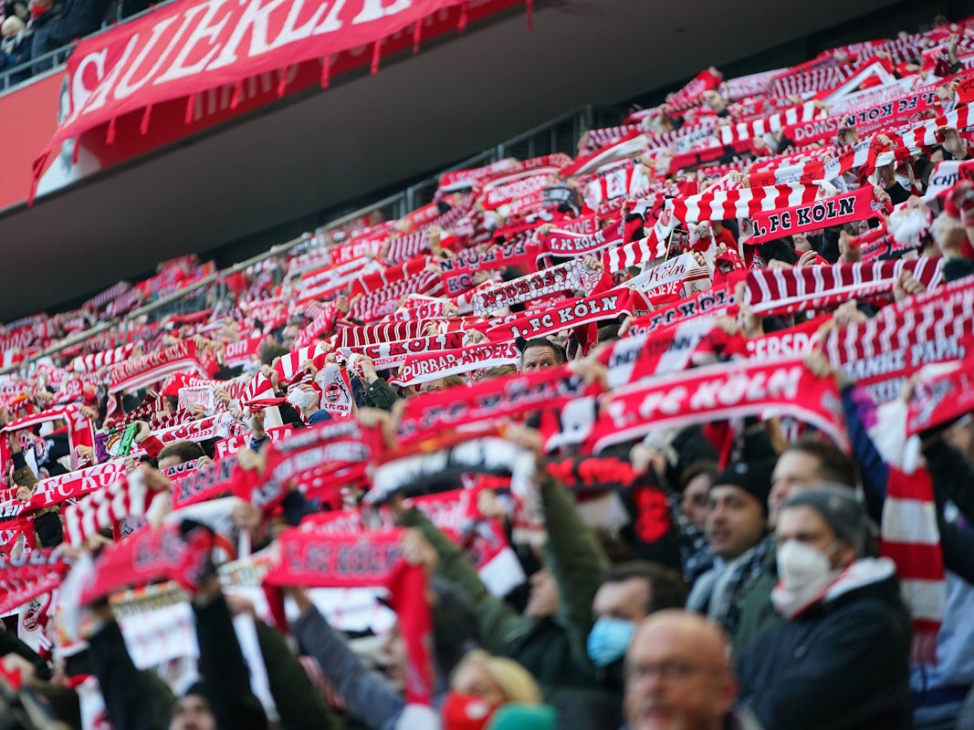 Fans des 1. FC Köln beim Spiel gegen Borussia Mönchengladbach