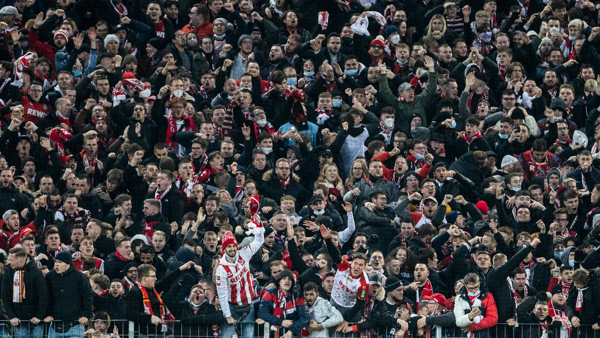 Jubelnde Fans beim Spiel des 1. FC Köln gegen Borussia Mönchengladbach