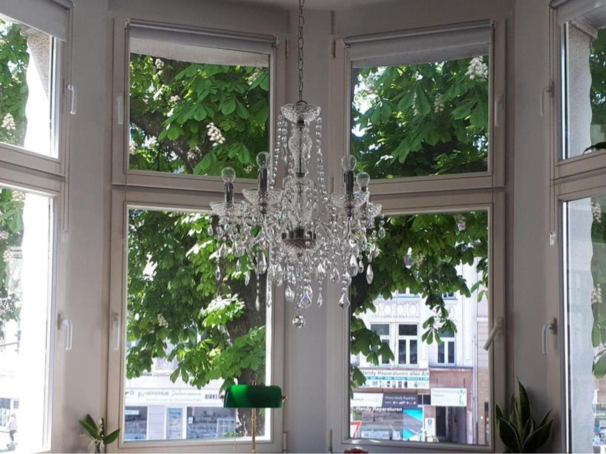 Der alte Kastanienbaum in Nippes.