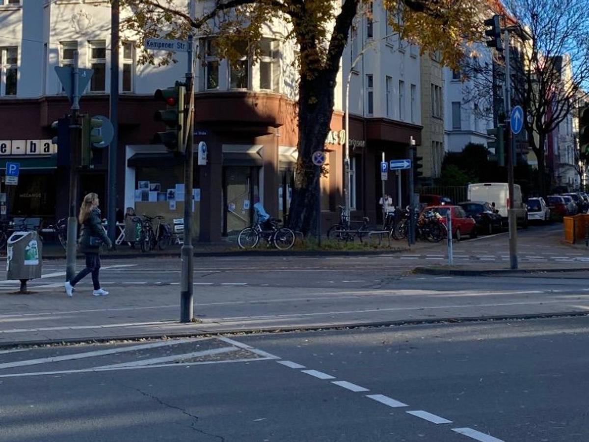 Die alte Kastanie in Nippes an der Kreuzung Neusser Straße/ Auerstraße.