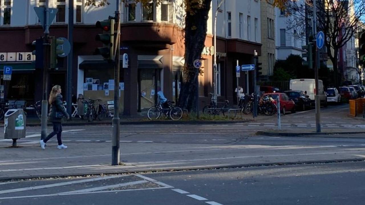 Die alte Kastanie in Nippes an der Kreuzung Neusser Straße/ Auerstraße.