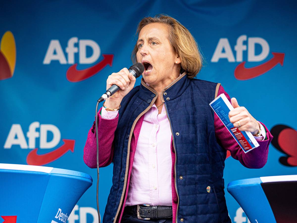 Beatrix von Storch, stellvertretende Fraktionsvorsitzende der AfD-Bundestagsfraktion, spricht während einer Wahlkampfveranstaltung der AfD Niedersachsen. +++ dpa-Bildfunk +++