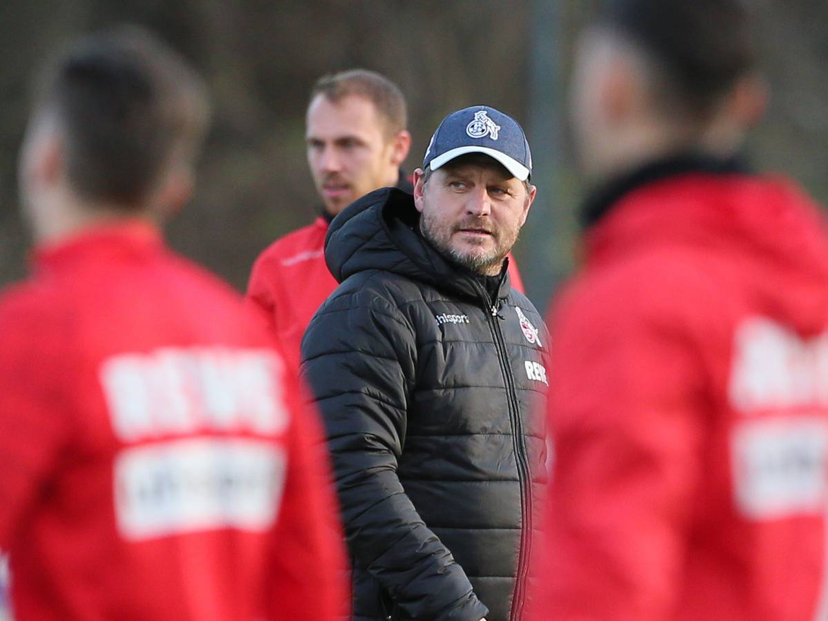 Steffen Baumgart trainiert den 1. FC Köln.