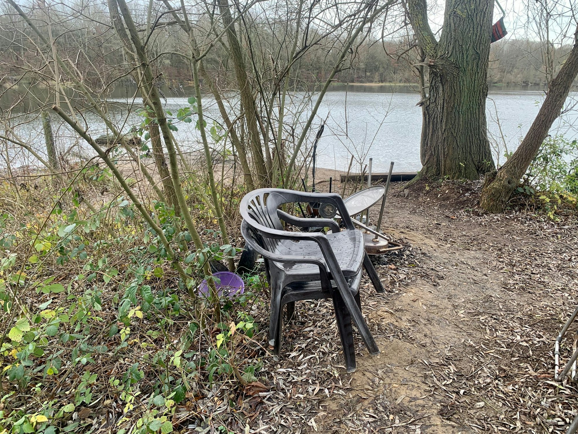 Am Höhenfelder See in Köln-Dellbrück werden mutmaßlich gesunde Bäume abgeholzt, um daraus Lagerfeuer anzuzünden.