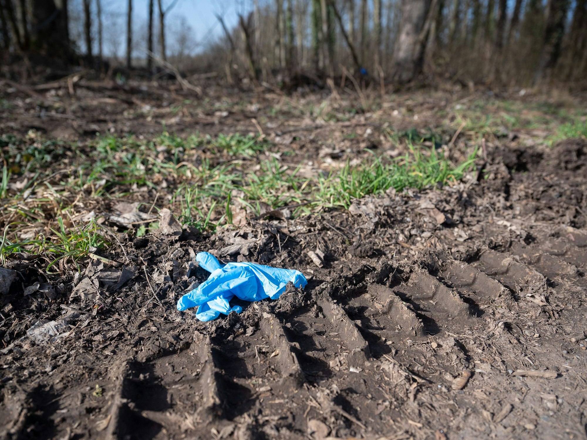 Ein Einmalhandschuh liegt in der Nähe des Tatorts.