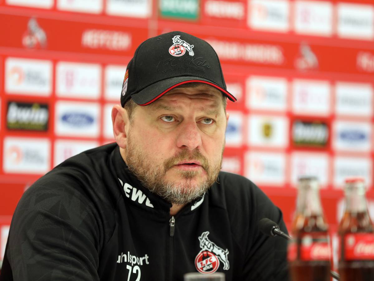 Steffen Baumgart gibt beim 1. FC Köln eine Pressekonferenz.