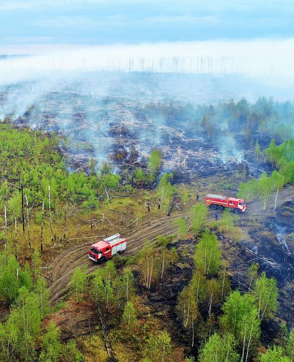 In Sibirien haben Wissenschaftler 2020 einen Temperaturrekord gemessen. Das Thermometer stieg auf einen Wert von 38 Grad plus. Unser undatiertes Foto zeigt Einsatzkräfte beim Löschen eines Waldbrandes in Sibirien.