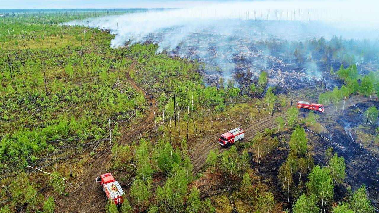 In Sibirien haben Wissenschaftler 2020 einen Temperaturrekord gemessen. Das Thermometer stieg auf einen Wert von 38 Grad plus. Unser undatiertes Foto zeigt Einsatzkräfte beim Löschen eines Waldbrandes in Sibirien.