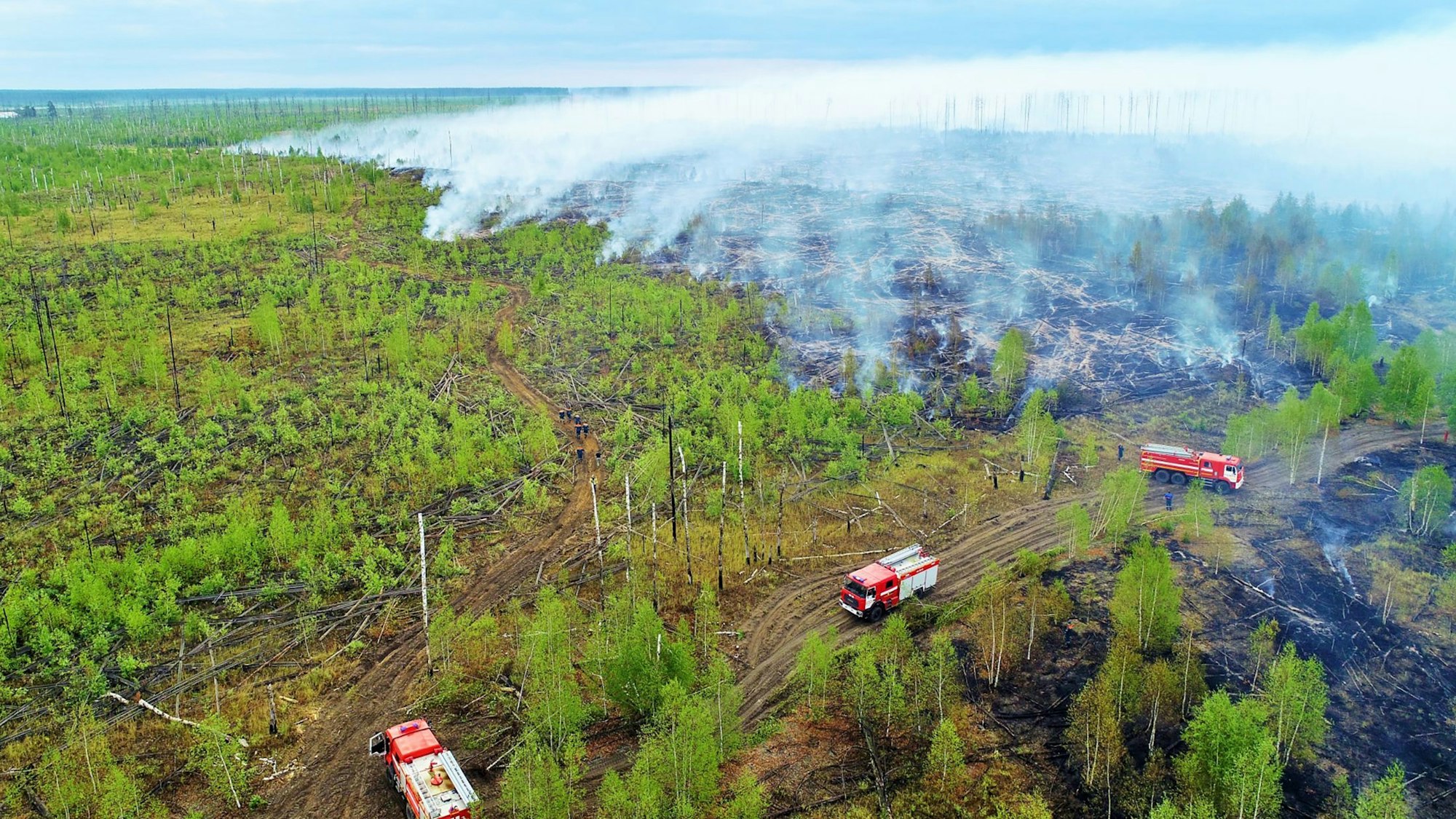 In Sibirien haben Wissenschaftler 2020 einen Temperaturrekord gemessen. Das Thermometer stieg auf einen Wert von 38 Grad plus. Unser undatiertes Foto zeigt Einsatzkräfte beim Löschen eines Waldbrandes in Sibirien.