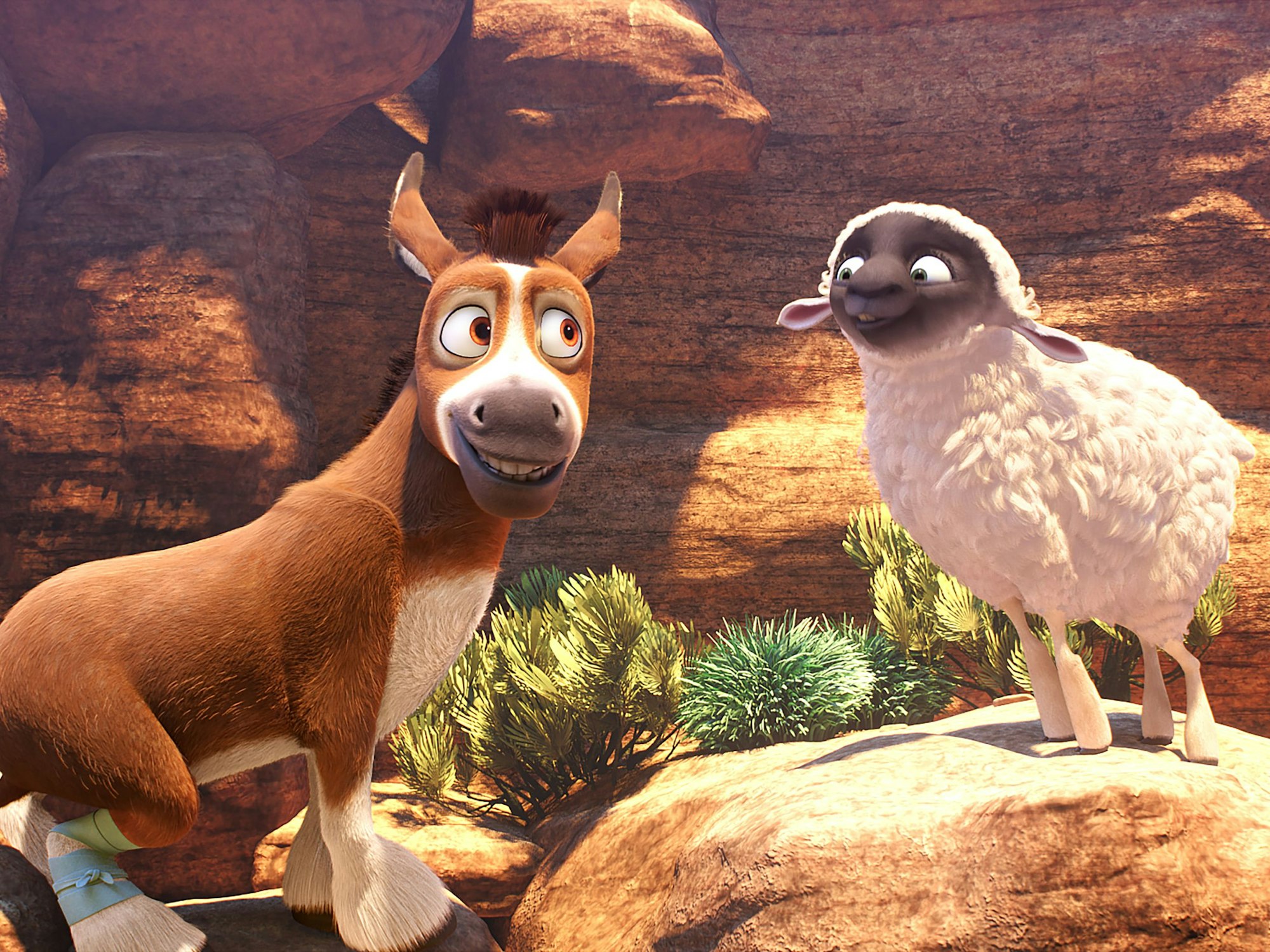 Der kleine Esel Bo erlebt das größte Abenteuer seines Lebens.