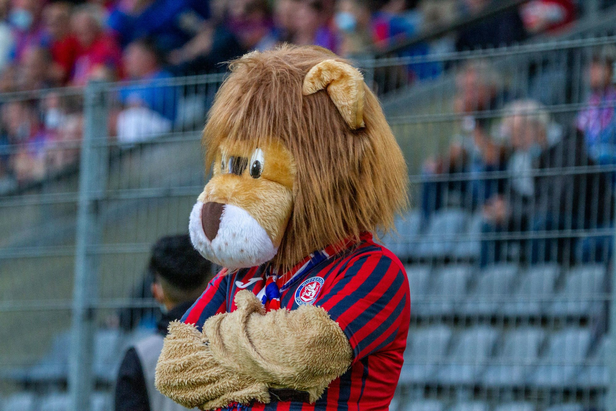 Das Maskottchen "Pröppi" beim Spiel des Wuppertaler SV gegen Rot-Weiß Essen am 25. August 2021, sorgte zuletzt mit einem Ausraster für Aufsehen.