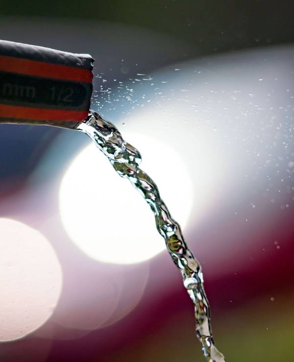 Wasser fließt in einem Frankfurter Vorgarten aus einem Gartenschlauch.
