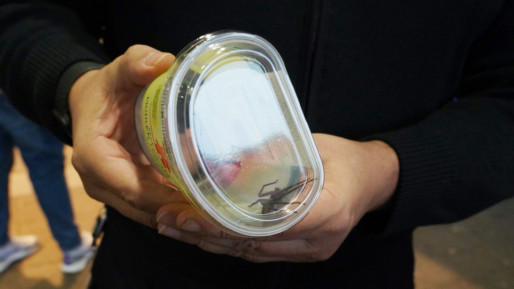 Eine Spinne unbekannten Ursprungs hat in einem Supermarkt in Ludwigsburg am 18. Dezember 2021 einen Rettungseinsatz ausgelöst. Als ein Mitarbeiter am Samstag eine Bananenkiste öffnete, sei das Tier herausgesprungen. Offenbar handelte es sich um eine Krabbenspinne.