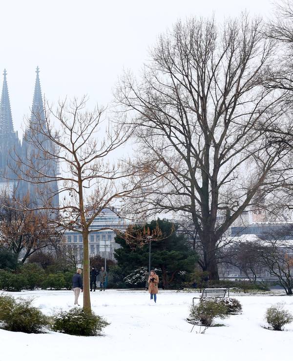 Köln: Schnee in Köln, Rheinpark
Blick auf den Dom