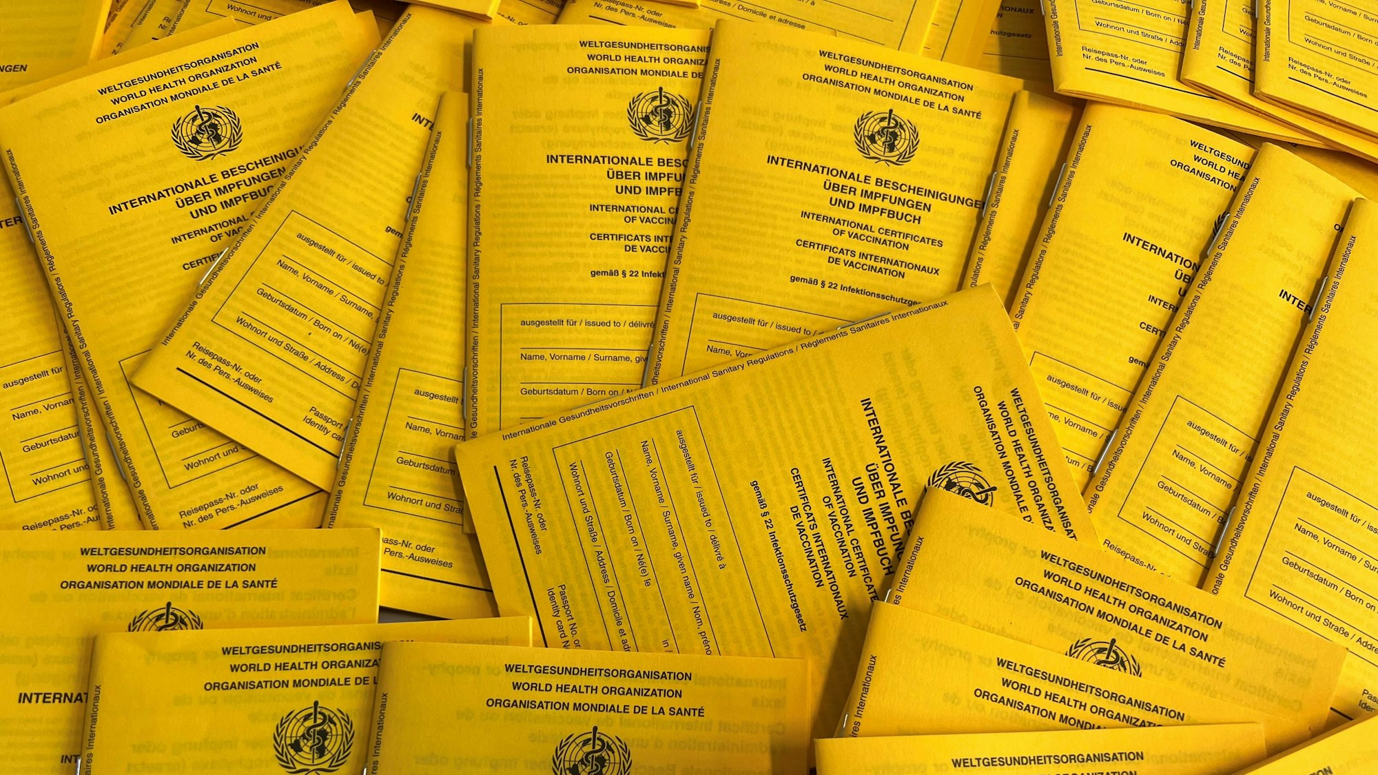 Das Bild zeigt einen Teil der von der Polizei sichergestellten Impfpässe.