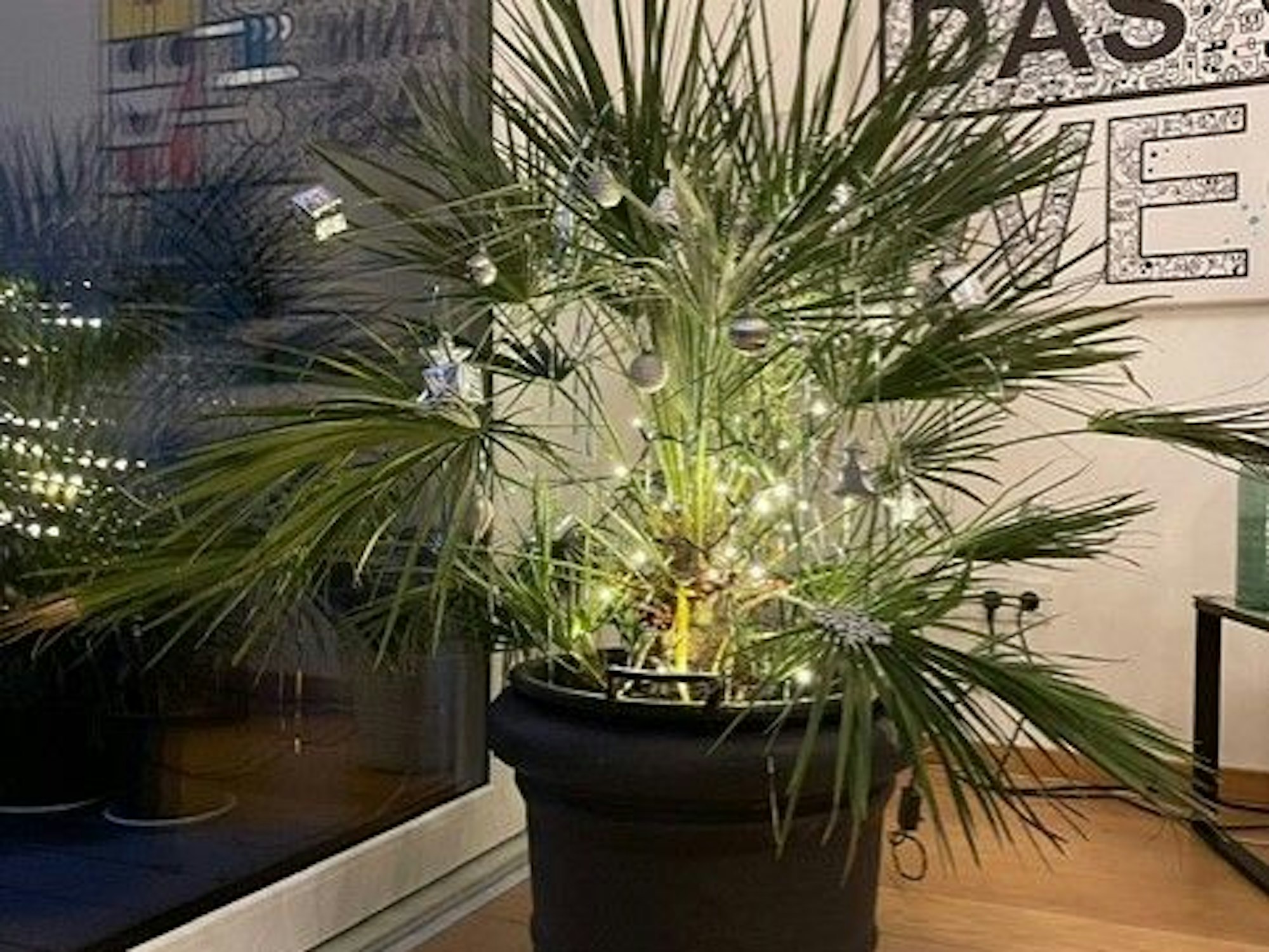 Palme im Heim von Ballermann-Star Ikke Hüftgold