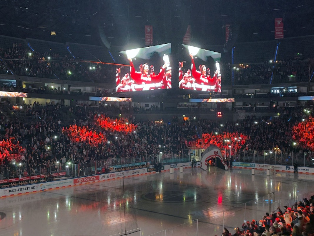 Kölner Haie gegen die Düsseldorfer EG, Blick in die Arena mit Hai-Maul vor dem Spiel.