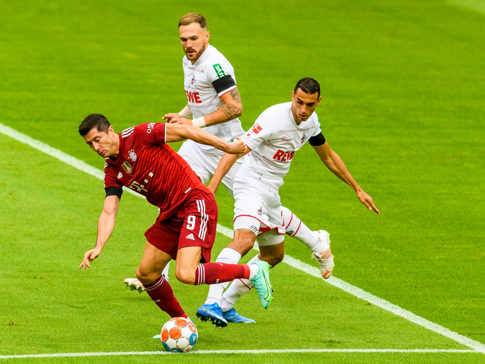 Ellyes Skhiri versucht Bayern-Stürmer Robert Lewandowski den Ball abzuluchsen, Rafael Czichos beobachtet den Zweikampf aus nächster Nähe.