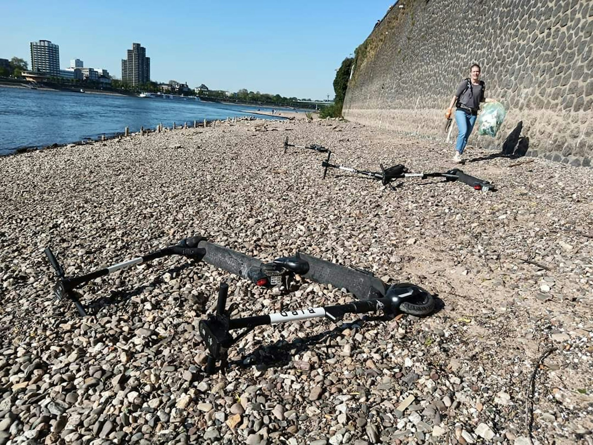 E-Scooter liegt gestrandet am Rhein in Köln