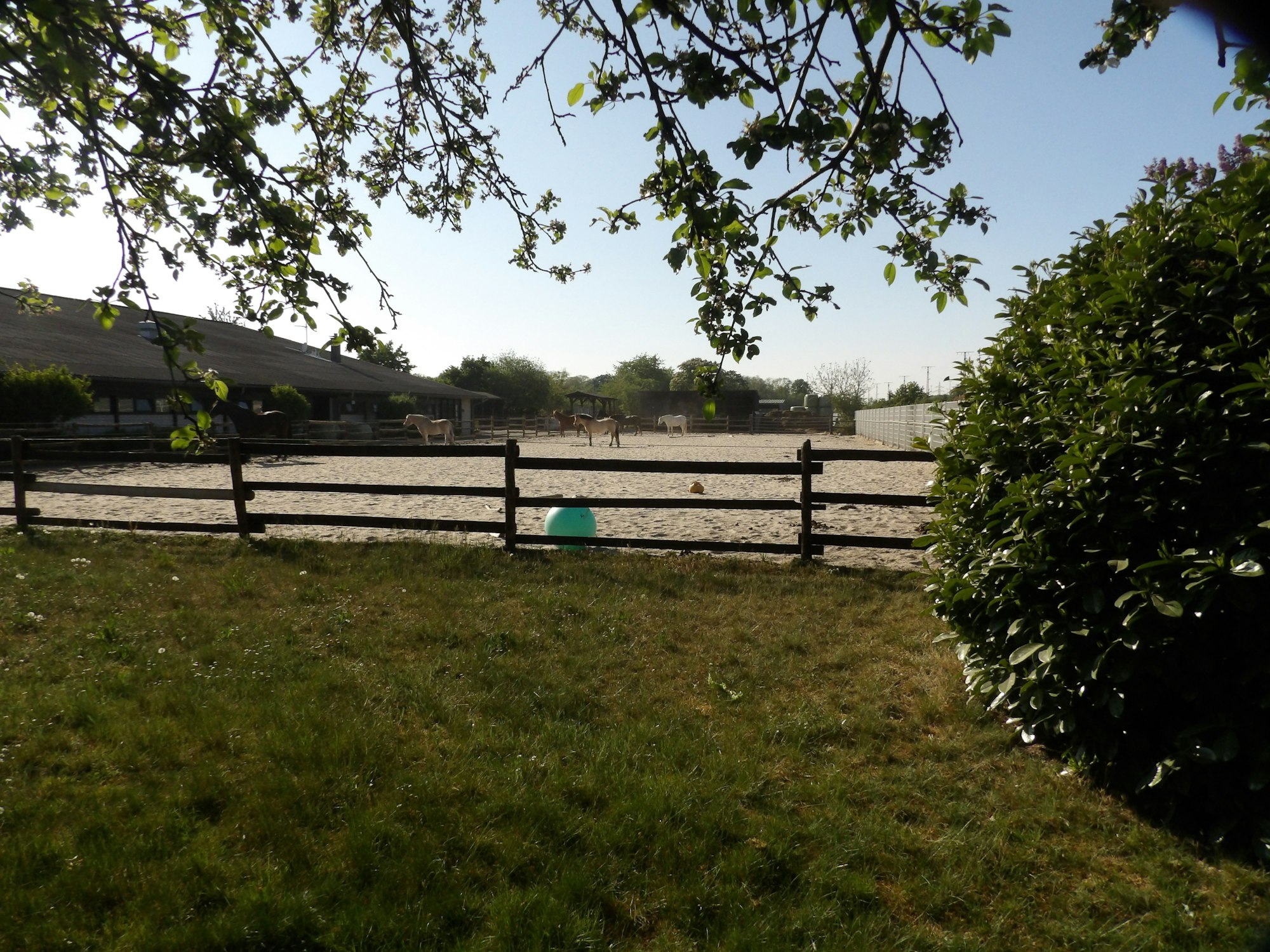 Der Reitplatz des Zentrums für therapeutisches Reiten in Köln Porz.