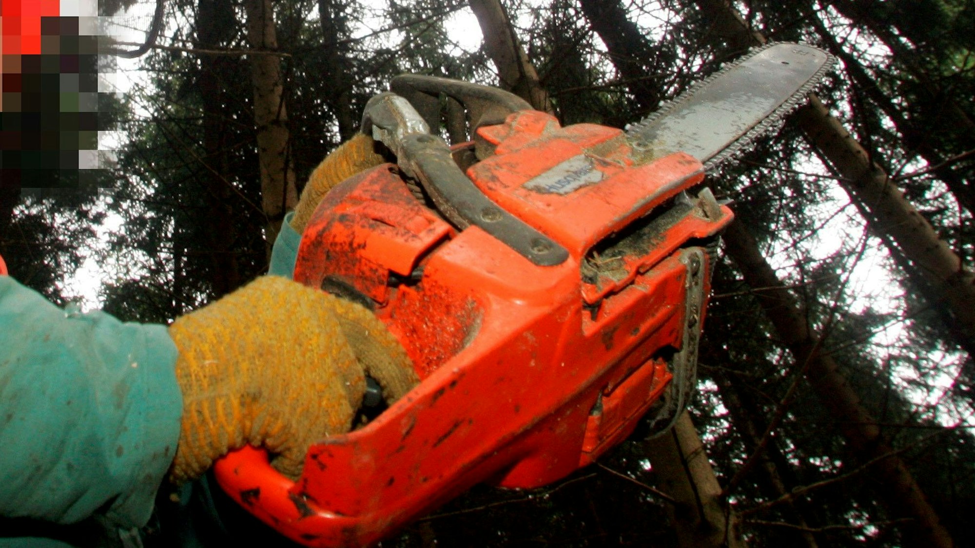 Symbolfoto Kettensäge von 2005.