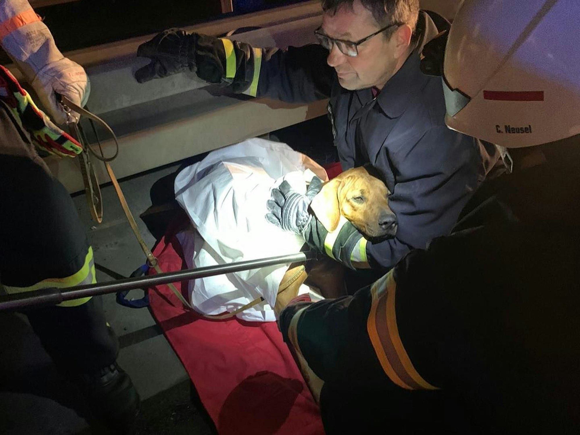 Ein Feuerwehrmann umarmt den geretteten Hund auf der Autobahn 4.