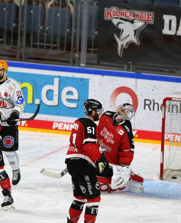 Bremerhaven bejubelt die Führung gegen die Kölner Haie.