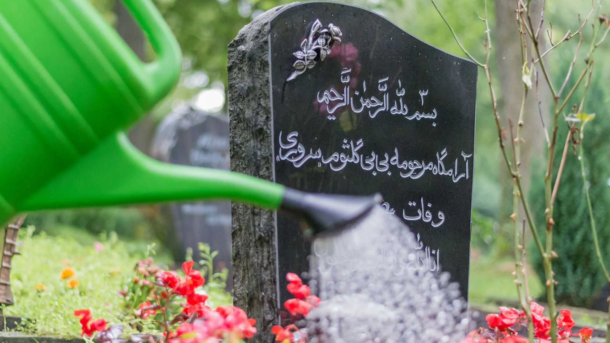 Jemand gießt die Blumen auf einem muslimischen Grab.
