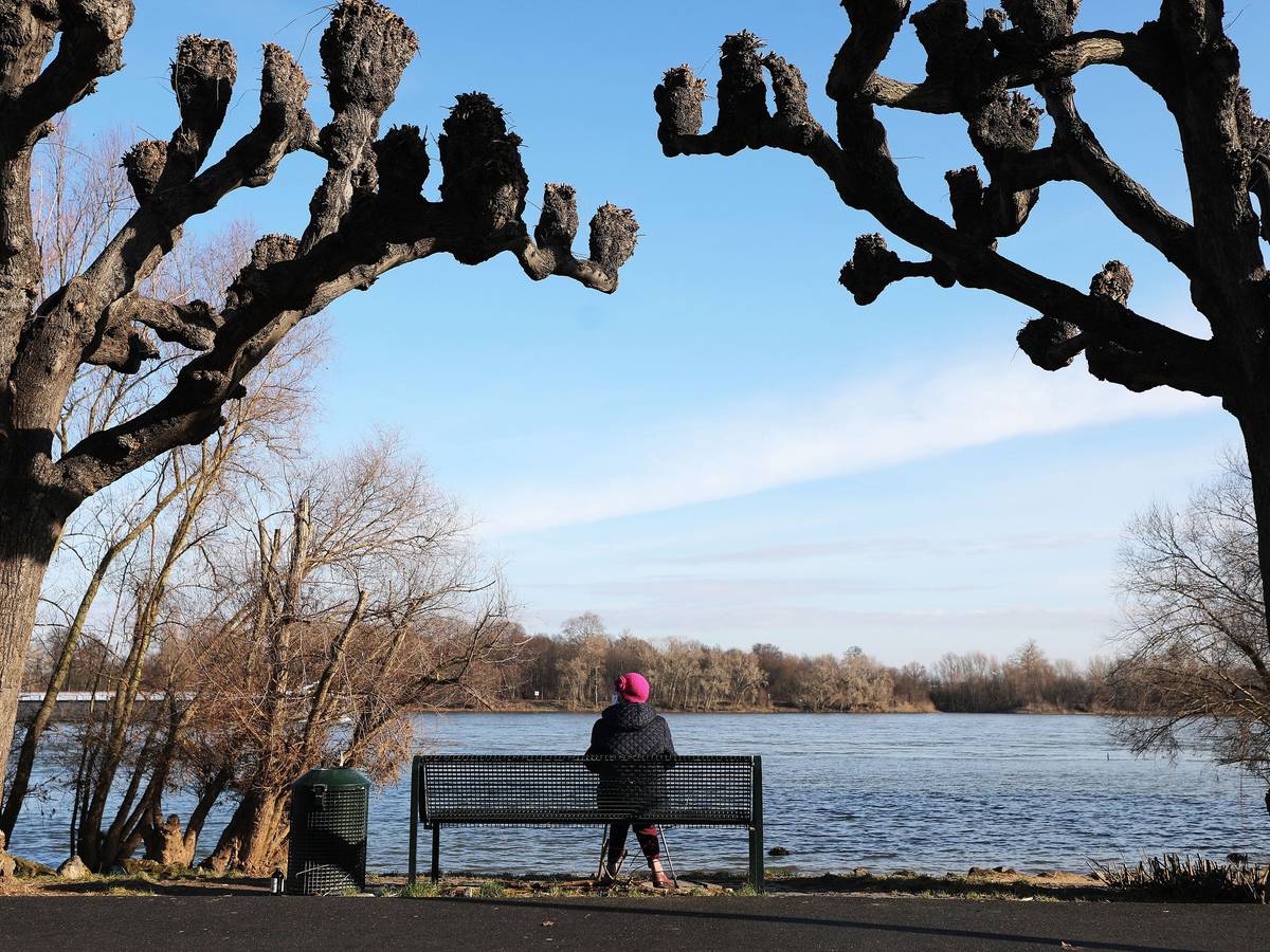 Eine Frau sitzt im Februar 2021 zwischen Platanen am Rheinufer in der Sonne. Wie wird das Wetter in den kommenden Wochen? Kommt der Winter 2022 vielleicht doch noch? Eine alte Bauernregel gibt darüber Aufschluss.