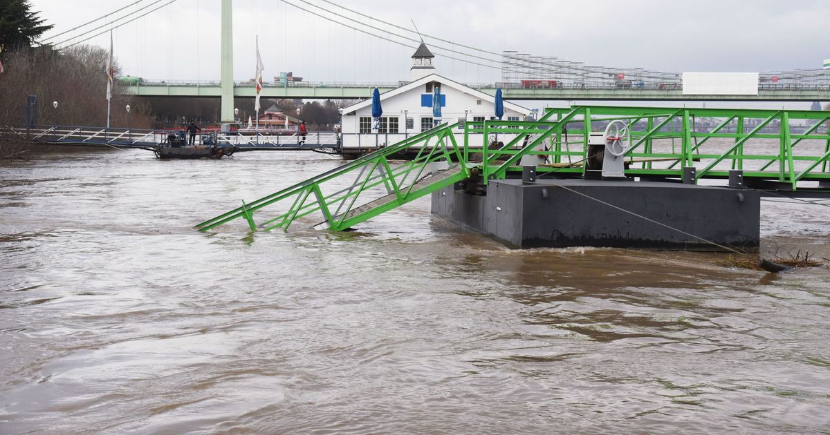Köln: Gibt es Hochwasser am Rhein, wenn es im Rheinland regnet? | Express