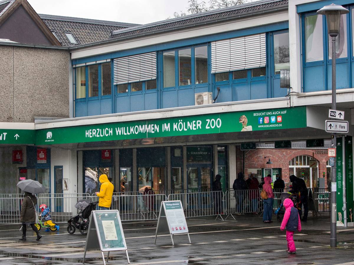 Köln: Der Haupteingang des Kölner Zoos bei Regenwetter.
