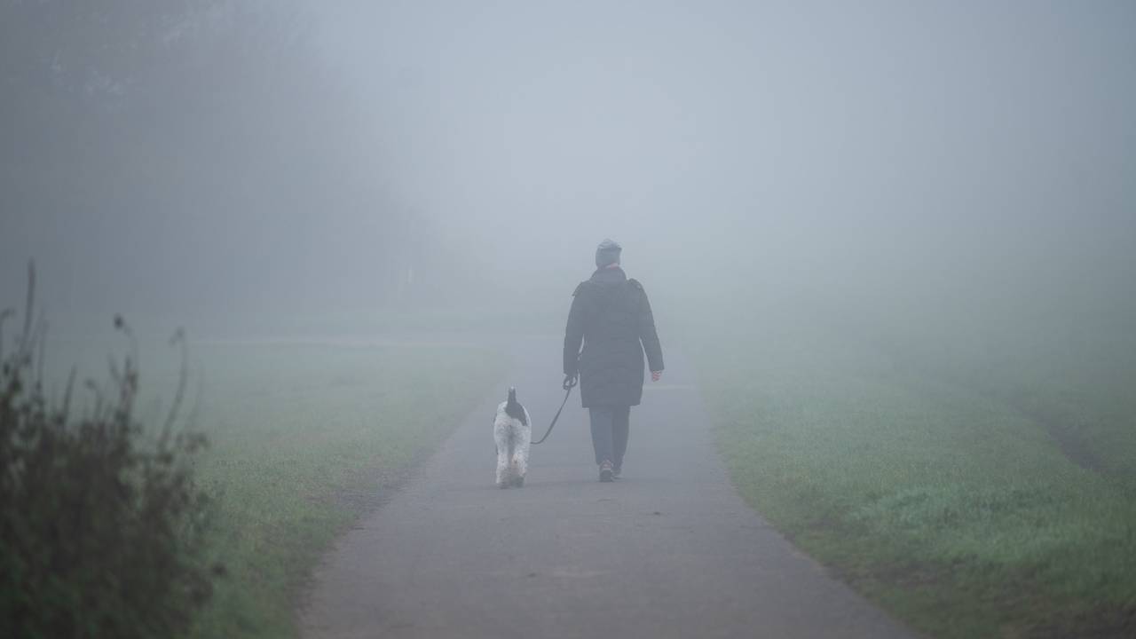 Ein Mann geht mit einem Hund im Nebel spazieren. Das Bild wurde am 21. November 2021 aufgenommen.