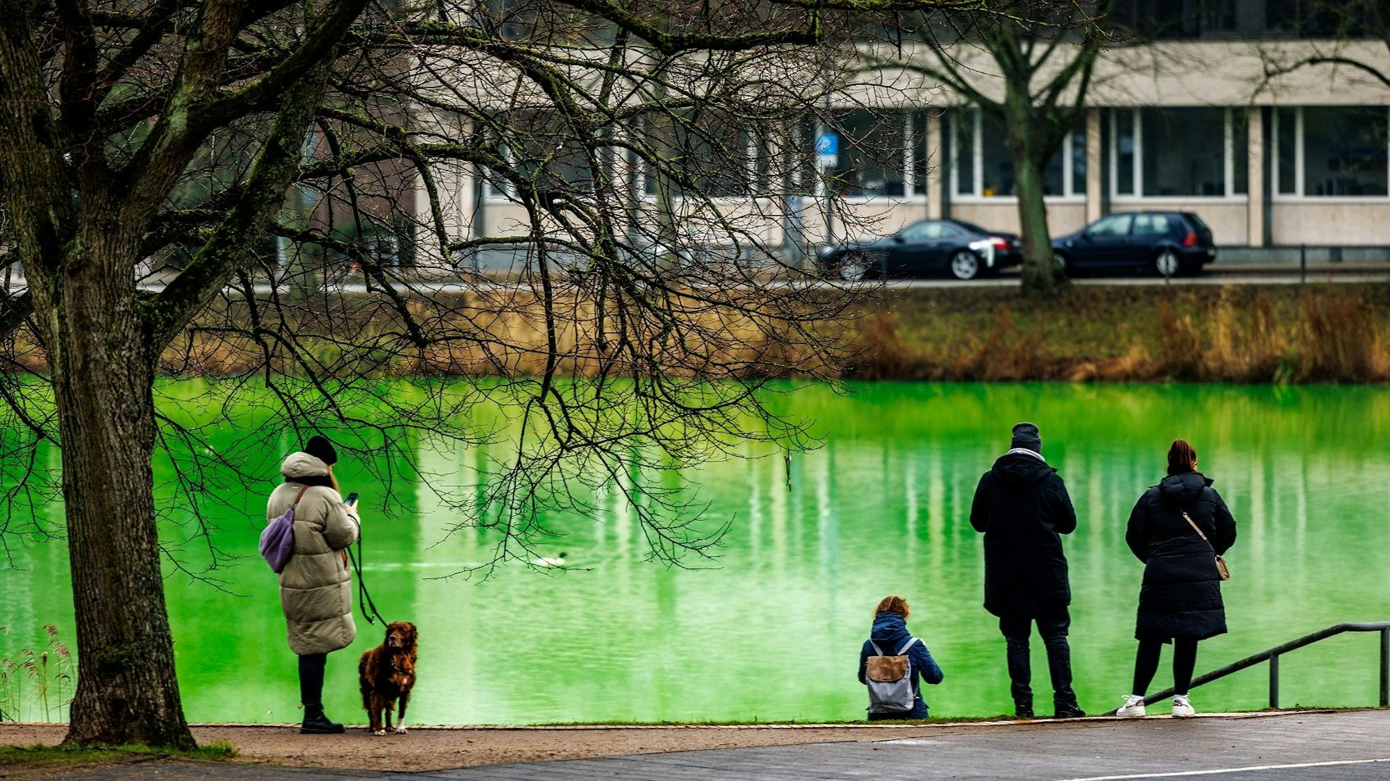 Passanten fotografieren den grün gefärbten „Kleinen Kiel“ mit ihren Smartphones am Sonntag (9. Januar).