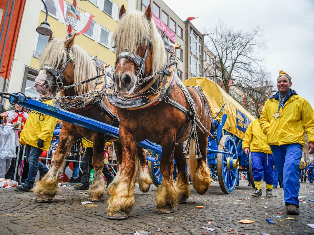 Zwei Pferde ziehen eine Pferdekutsche.
