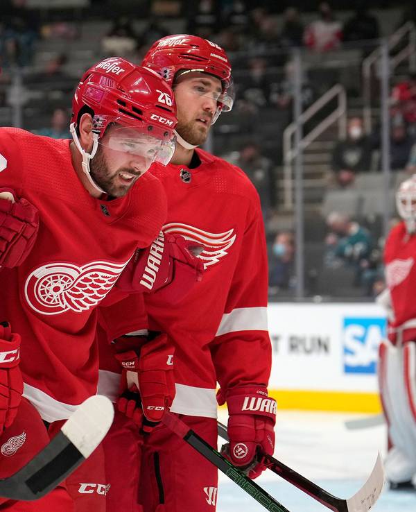 Red-Wings-Spieler Moritz Seider (l) hilft Kollegen Riley Barber (m) im NHL-Spiel gegen die San José Sharks vom Feld.