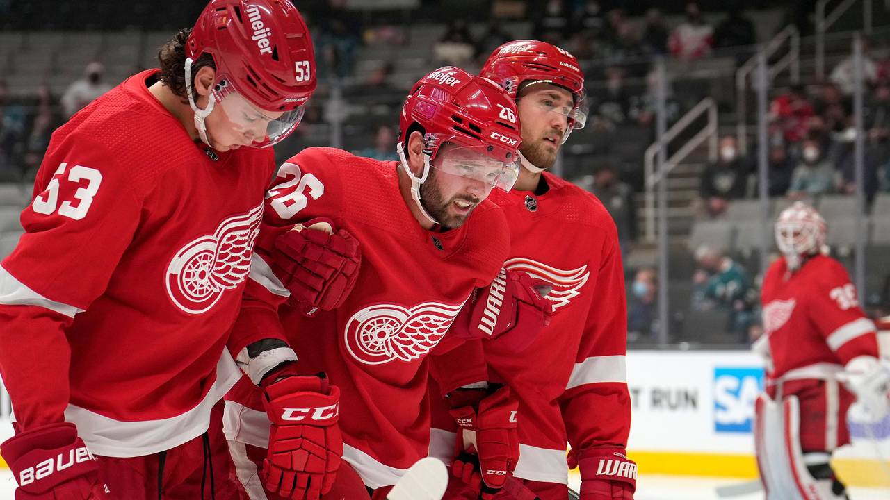 Red-Wings-Spieler Moritz Seider (l) hilft Kollegen Riley Barber (m) im NHL-Spiel gegen die San José Sharks vom Feld.
