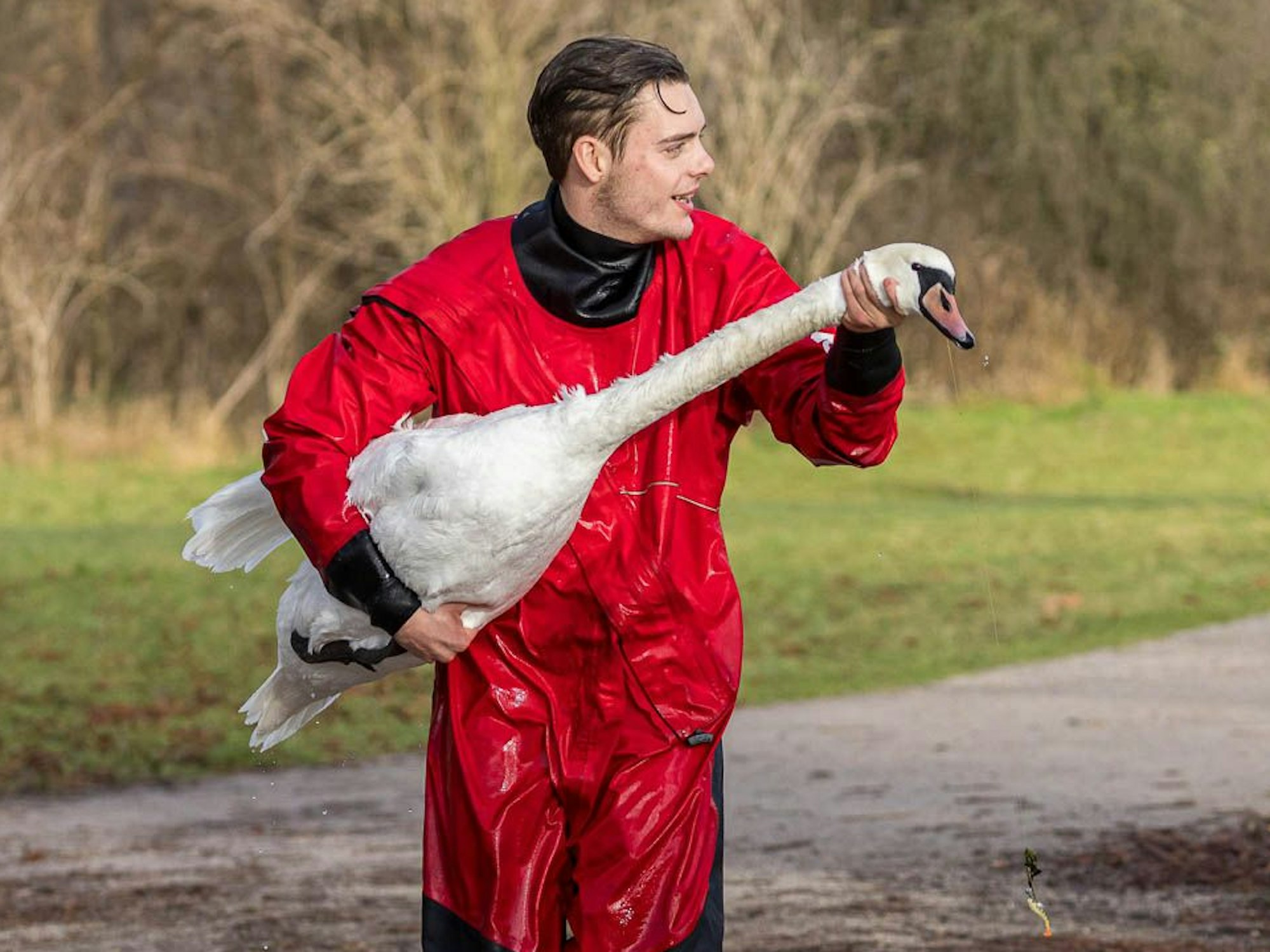 Tierretter Dustin Tanallari hält einen Schwan im Arm.