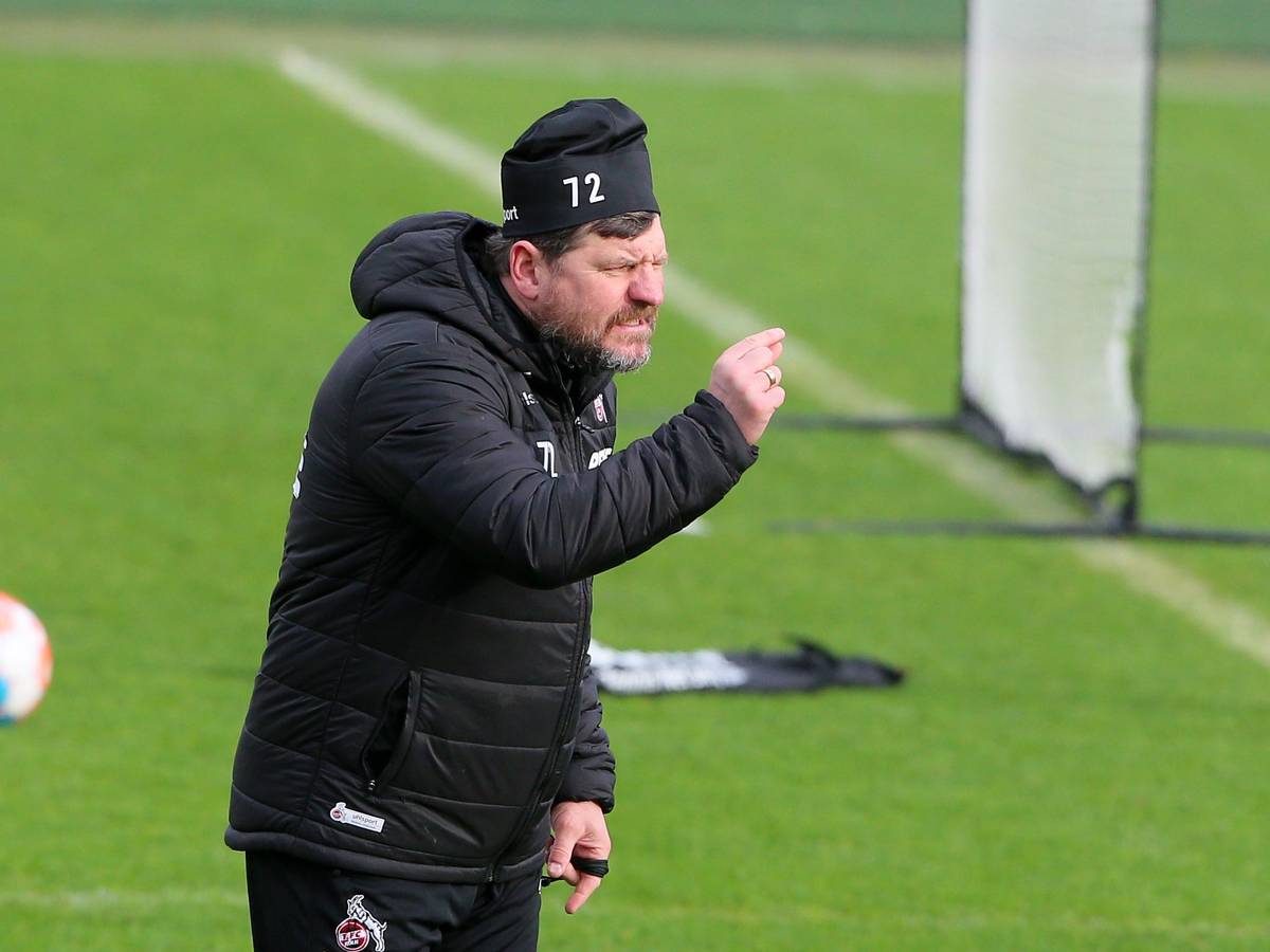 Steffen Baumgart im Training des 1. FC Köln