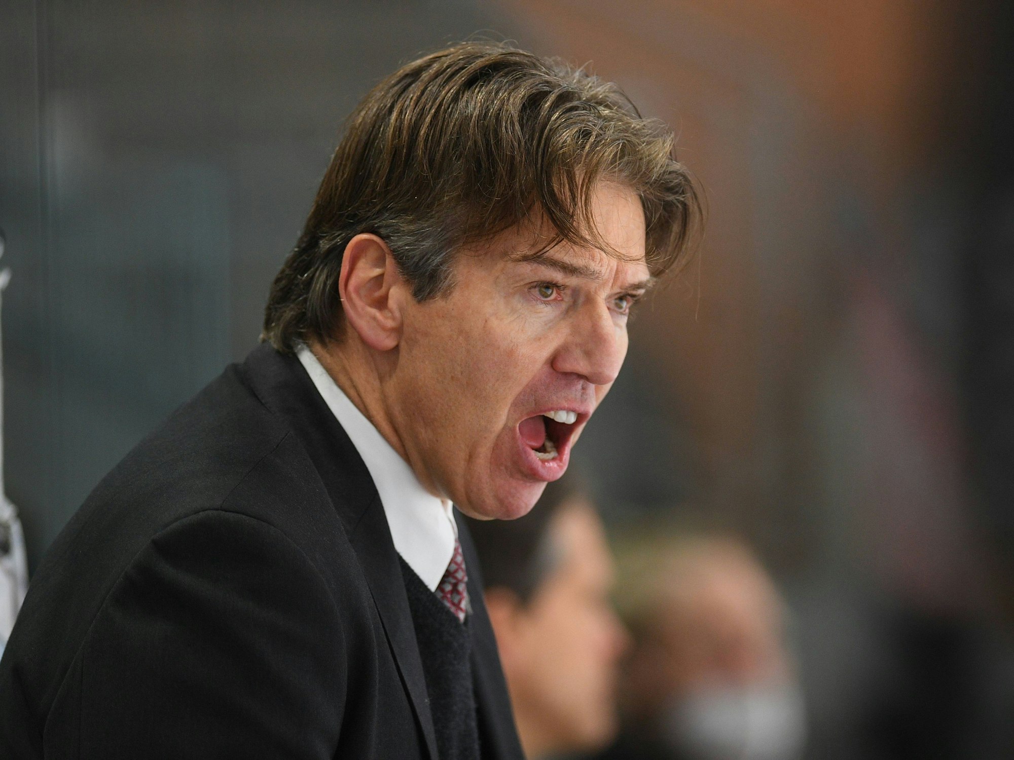 Uwe Krupp, Coach der Kölner Haie, brüllt.