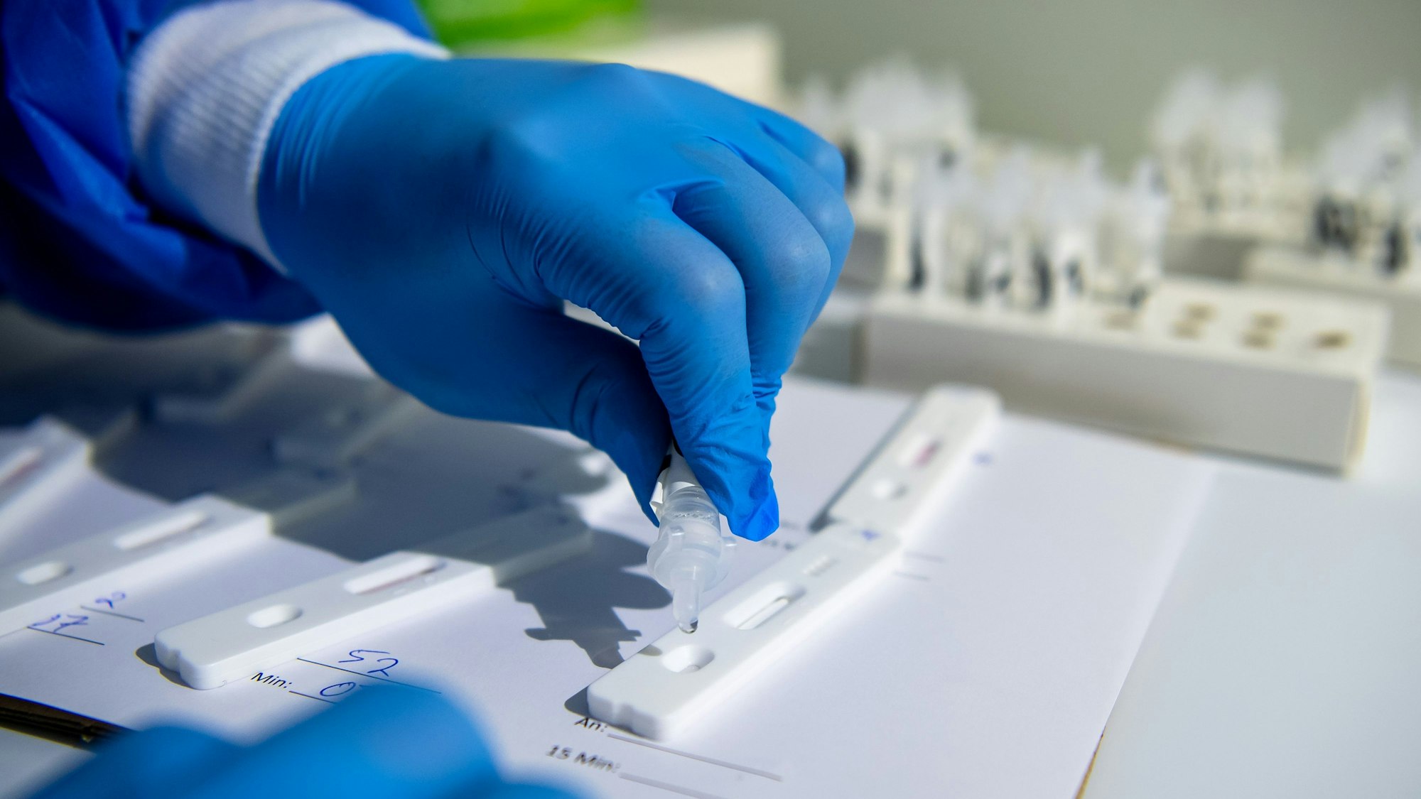 In einem Testzentrum werden Corona-Schnelltest ausgewertet.