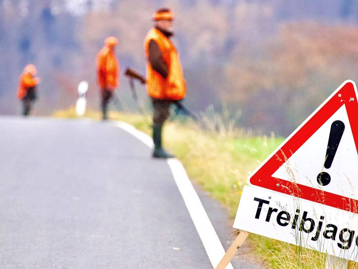 Ein Warnhinweisschild steht während einer Treibjagd am Rande einer Straße. Im Hintergrund stehen Jäger mit Gewehren.