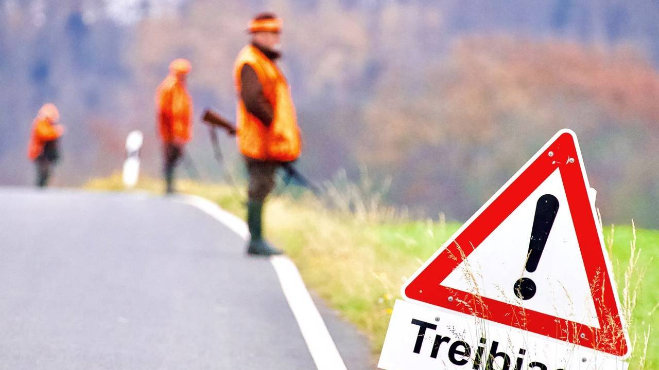 Ein Warnhinweisschild steht während einer Treibjagd am Rande einer Straße. Im Hintergrund stehen Jäger mit Gewehren.