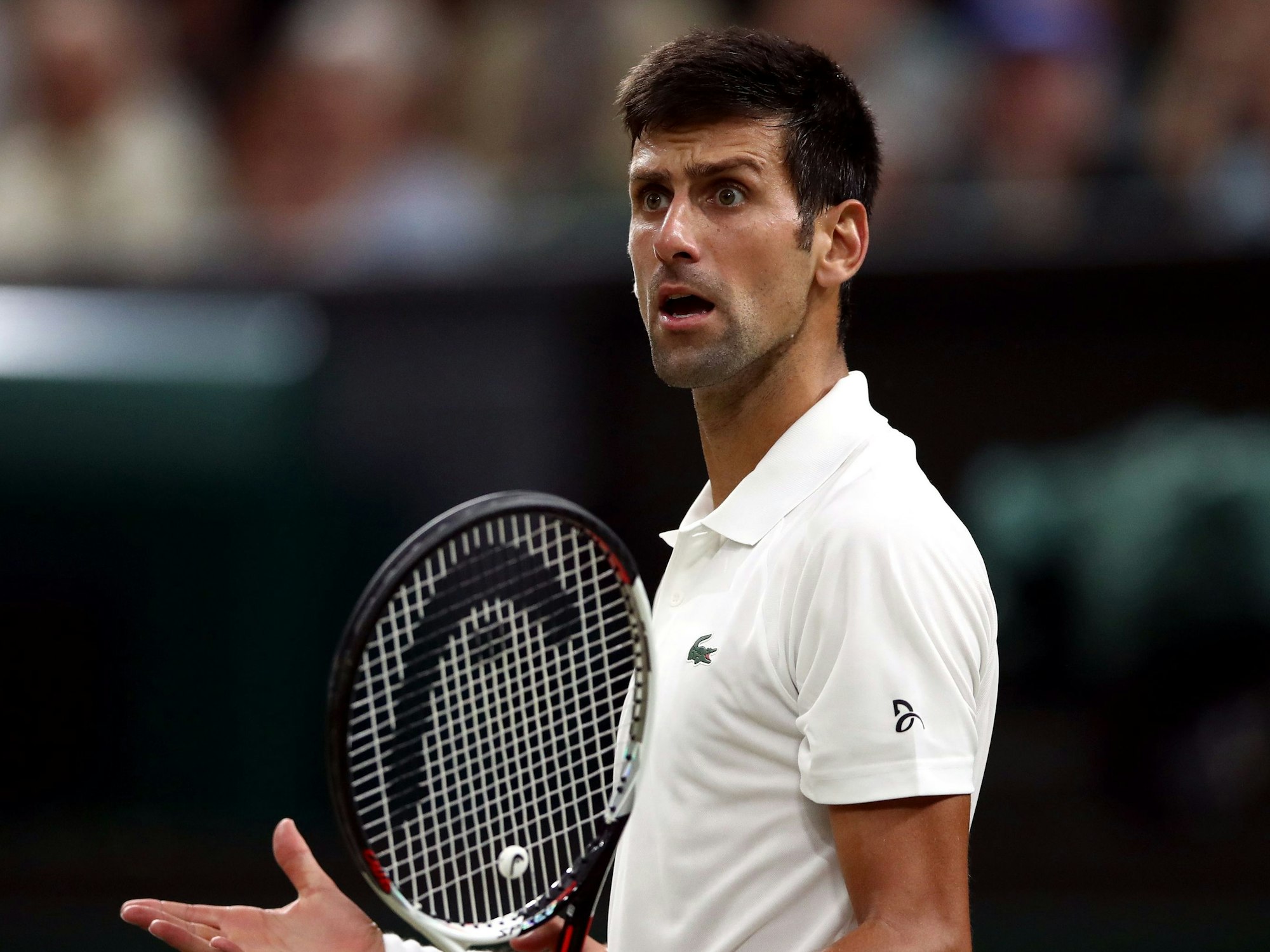 Novak Djokovic, Tennis-Profi aus Serbien, reagiert während des Spiels. Djokovic darf nicht an den Australian Open teilnehmen und muss Australien verlassen. Das hat das Bundesgericht in Australien am 16.01.2022 entschieden. Der Einspruch Djokovics gegen seine verweigerte Einreise und die Annullierung des Visums wurde abgelehnt.