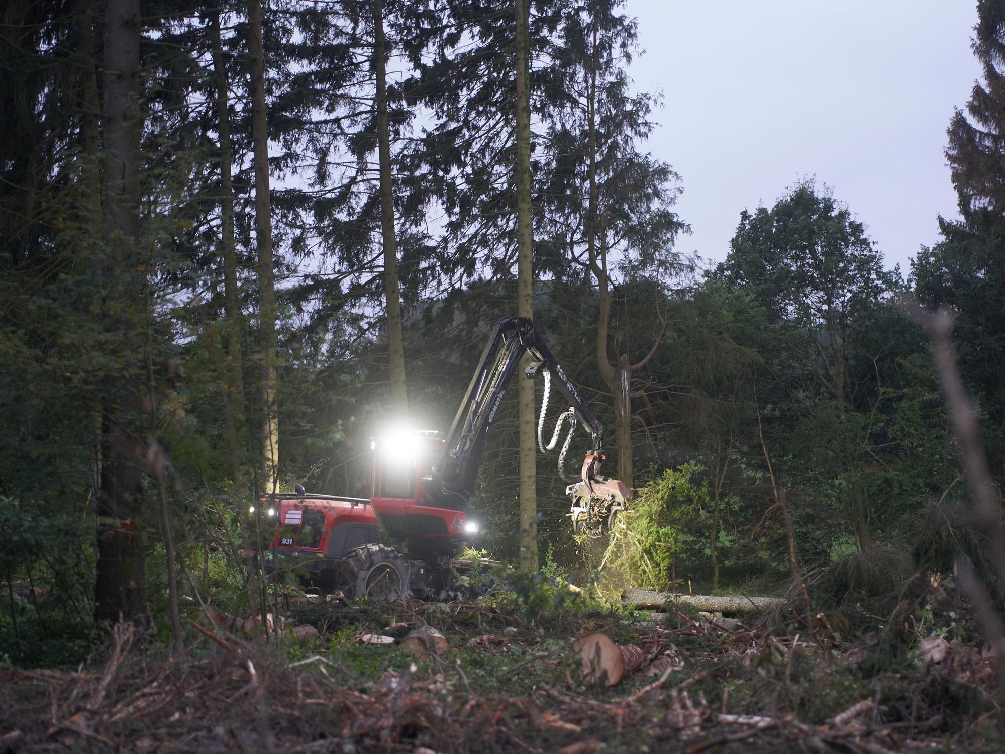 Ein Harvester erntet am Waldrand in der Eifel bei Döttingen im Schein seiner Scheinwerfer an einem bedeckten Morgen Holz.
