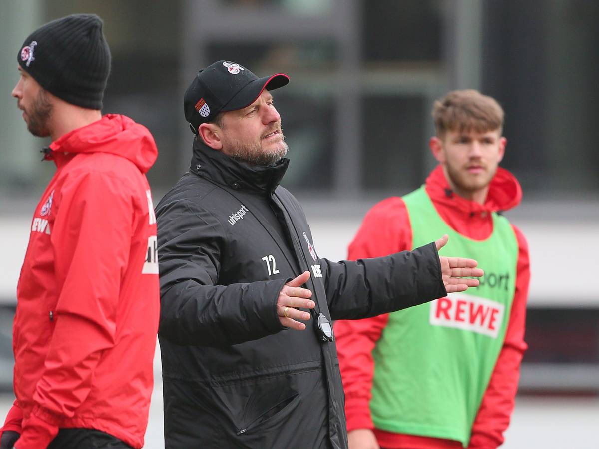 Steffen Baumgart bereitet den 1. FC Köln auf den Hamburger SV vor.