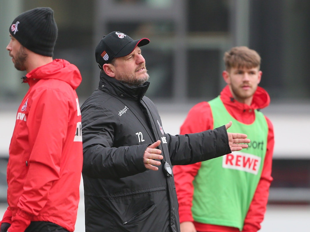 Steffen Baumgart bereitet den 1. FC Köln auf den Hamburger SV vor.