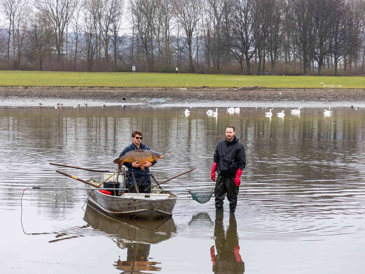 Ein Mann auf einem Boot hält einen Fisch.